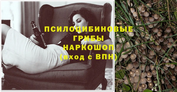бутират Алзамай