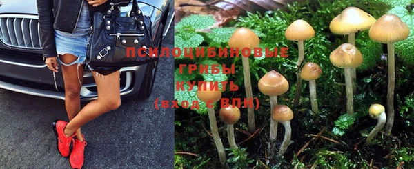 бутират Алзамай