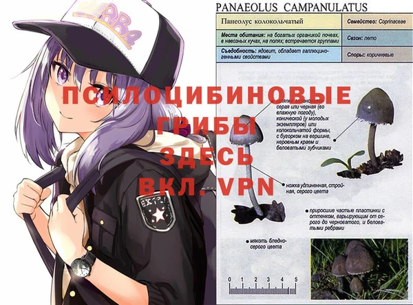 синтетический гашиш Алексин