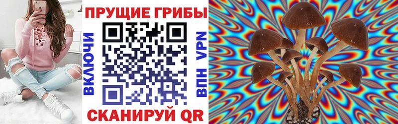 Псилоцибиновые грибы Magic Shrooms  МЕГА зеркало  Темрюк 